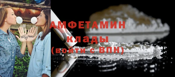 трава Весьегонск