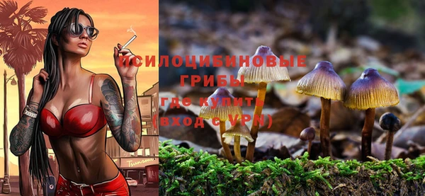 амфетамин Пестово
