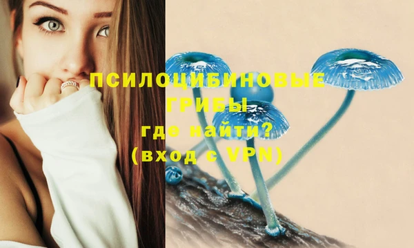 амфетамин Пестово