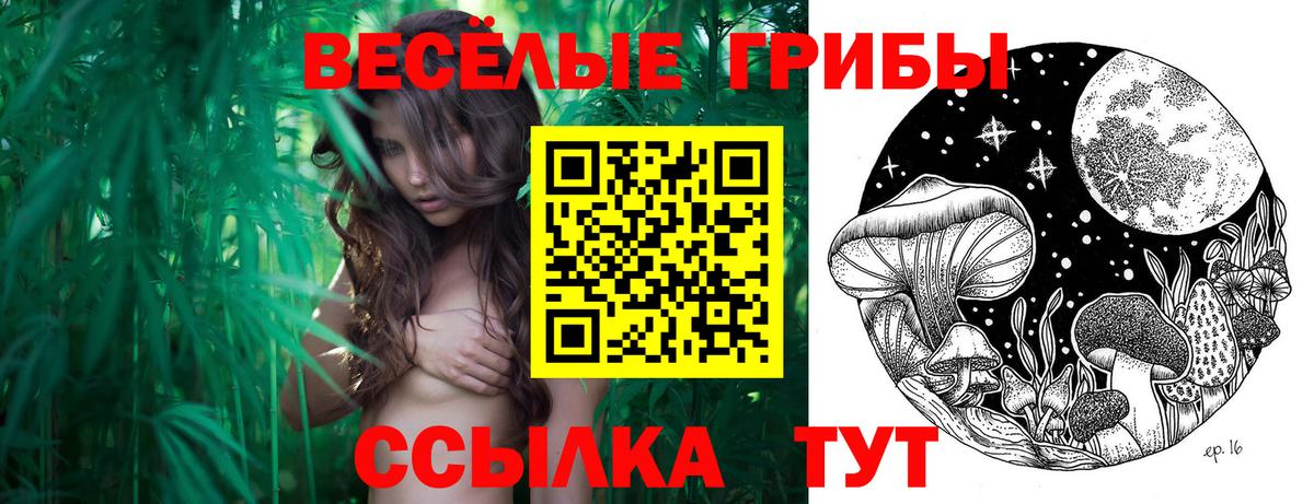 Галлюциногенные грибы GOLDEN TEACHER Урус-Мартан