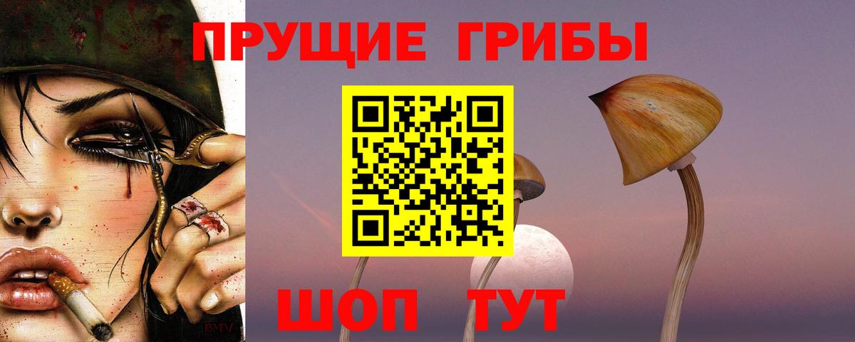 Урус-Мартан  продажа наркотиков  Галлюциногенные грибы GOLDEN TEACHER  Вход с VPN  Галлюциногенные грибы Magic Shrooms 